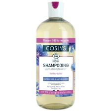 ANTI-YELLOWING SHAMPOO - ŠAMPOON HALLIDELE JA HELEDATELE JUUSTELE 500ML COSLYS