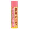 Burt’s Bees Lip Balm Pink Grapefruit – roosa greibi huulepalsam.jpg